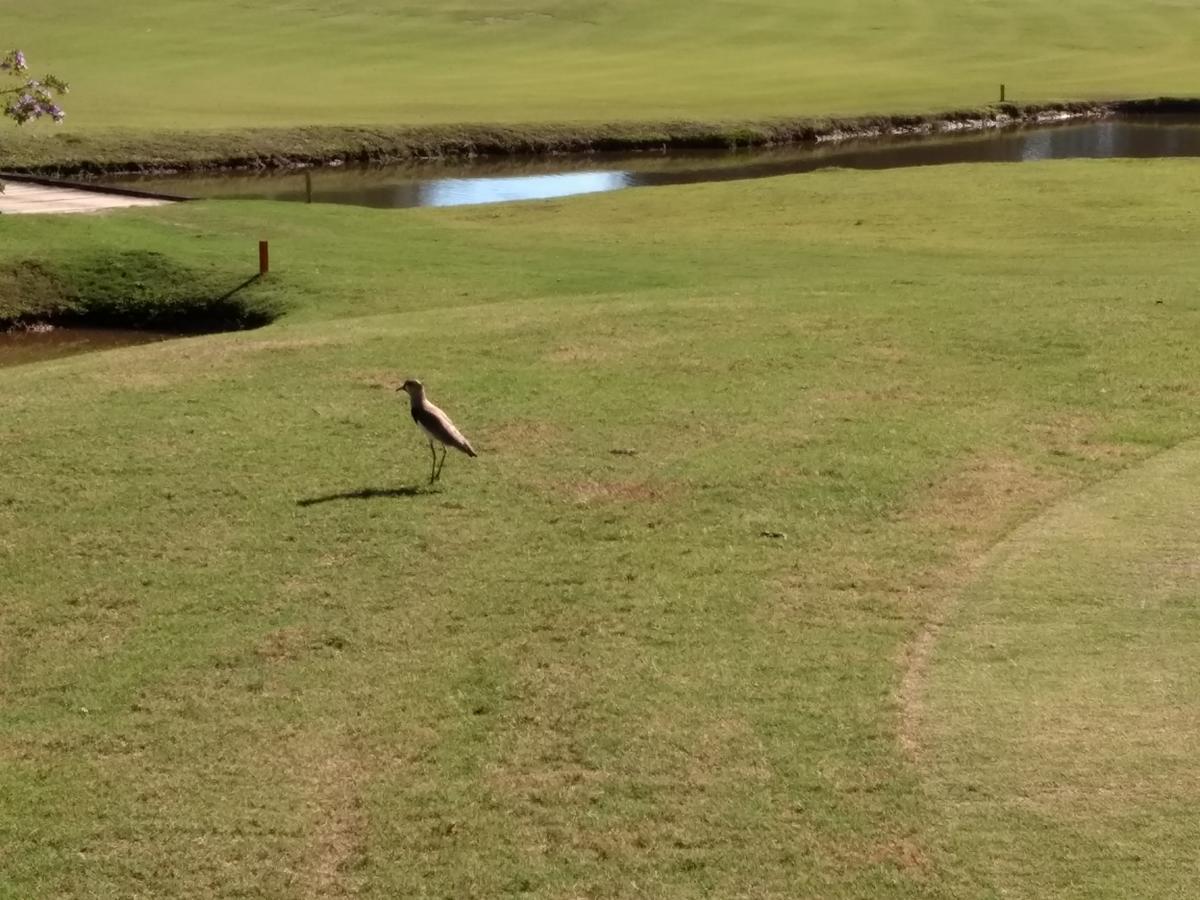 Hotel Fazenda Monte Verde Golf & Resort Vargem Alta Exteriör bild